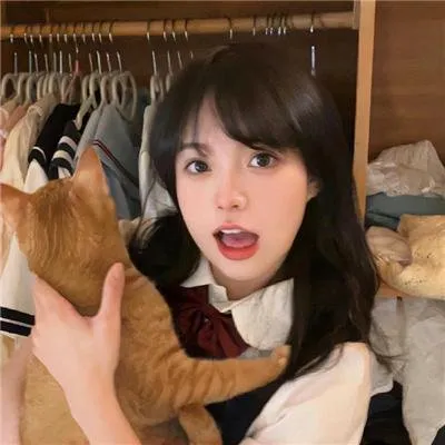 【爆款喜剧】《逃避虽可耻但有用》新垣结衣星野源：契约结婚先婚后爱，风靡亚洲的治愈系恋曲